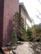 Bailey Howe library