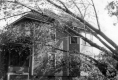 Hurrican Damadge