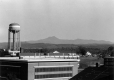View from the Williams Hall Fire Escape
