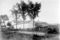 Williston Farm