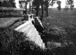 Fishing at the Overpass