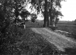 Fishing on Allen Brooke