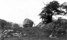 Glacial Boulder of Quartzite