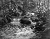 The Stream at Smuggler's Notch