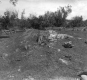 Geologic Contact in a Pasture