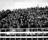 Fans in the Stands