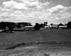 Breeding Barn, Cottage, and Cow