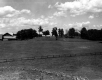 Breeding Barn and Kennels