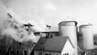 After UVM Farm Fire