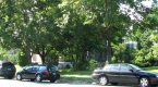 Sigma Phi House