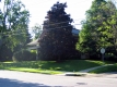 Englesby House (University Presidents Home)