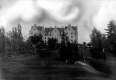 Converse Hall with Trees and Road