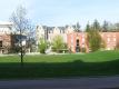 Converse Hall with Trees and Road