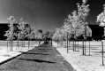 Walking Path, Main Campus
