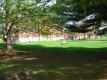 Campus and College Building, Burlington, Vt