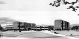 Harris Millis Halls
