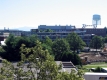 UVM Campus Looking East