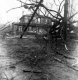 Hurricane Damage on Main Green