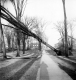Hurricane Damage on Main Green