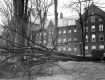 Hurricane Damage in Front of Old Mill