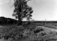 Train through a Field