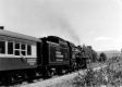 Steam Engine through Fields and Trees