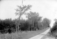 Earthen Road