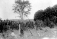 Field Outside of Town