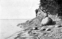 Apple Tree Point