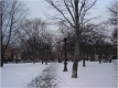 City Hall Park