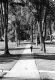 Walkway on UVM Green