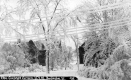 The College Green After a Winter Storm