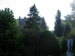 UVM Green