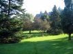 UVM Green