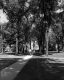 Walkway on the UVM Green
