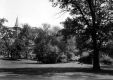UVM Green