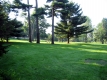 UVM Green