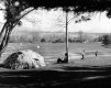 Glacial Erratic - Athletic Fields in Background