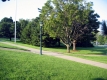 UVM Green facing South Prospect