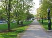 University of Vermont Green and Old Medical College