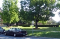 View of Royal Tyler From University Place (2005)