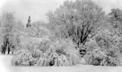 UVM Campus - The Green