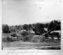 View from Maple Hill
