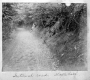 Internal Road, Maple Hill