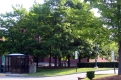 View of Royall Tyler Theater from UVM Green