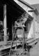 Dog on Ladder
