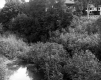 View of Chendel's Store & Belcher Memorial Library from River