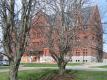 Williams Hall with Elms