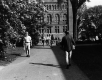 Williams Hall from the North