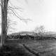 Stone Wall and Farm Fields
